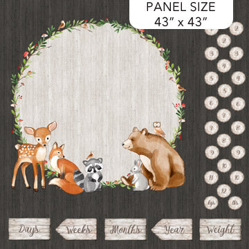 Woodland Adventures Square panel