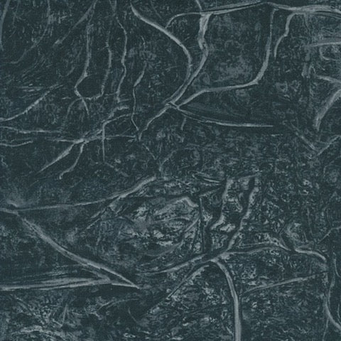 Black branches wide back