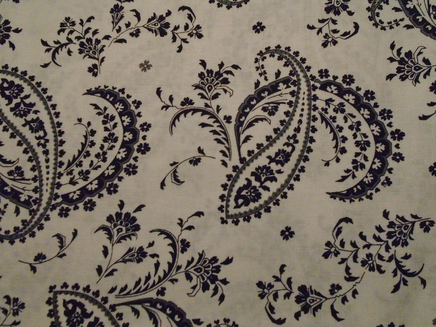 White & black paisley