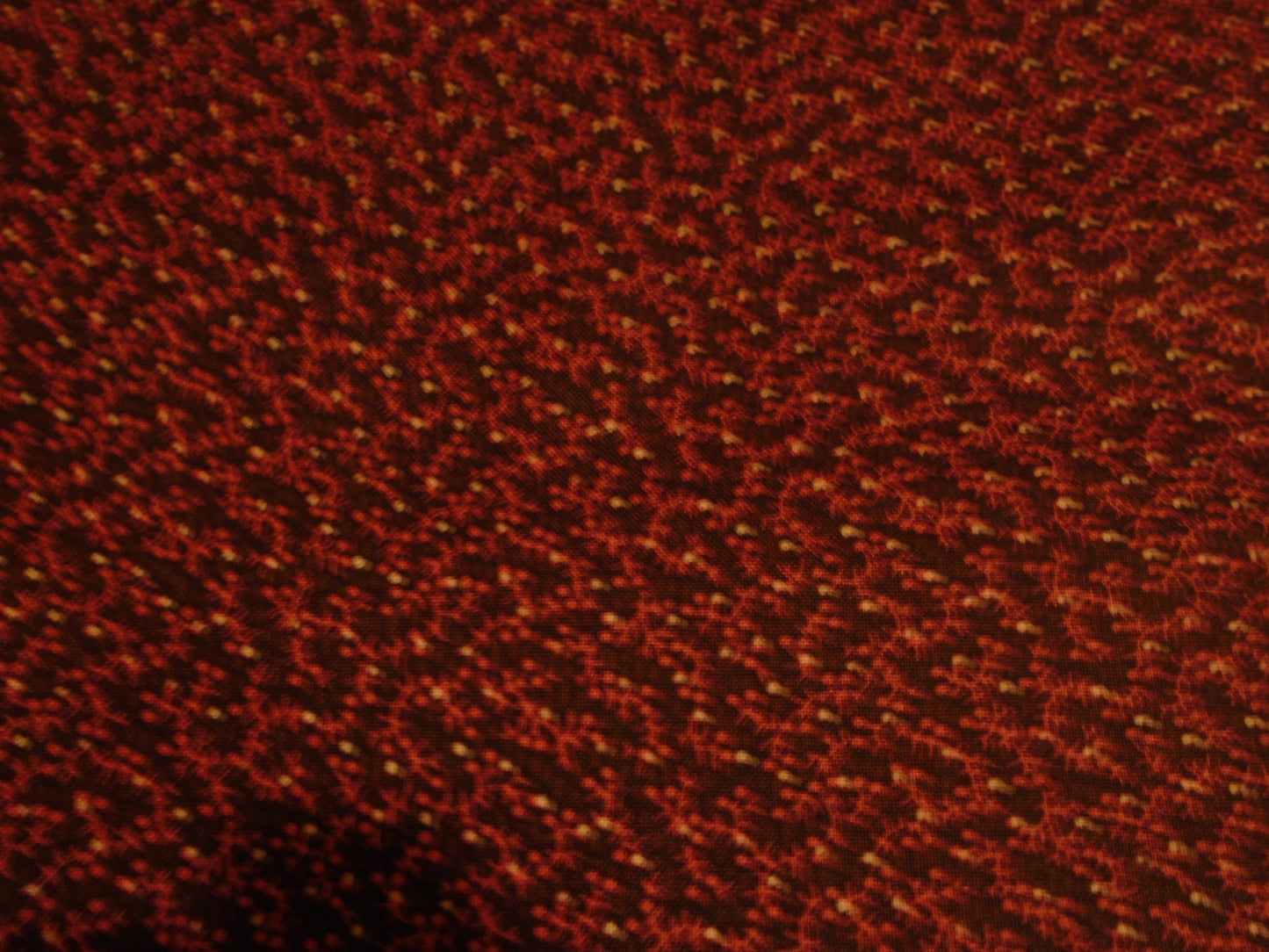 Red leaf/dark back ground