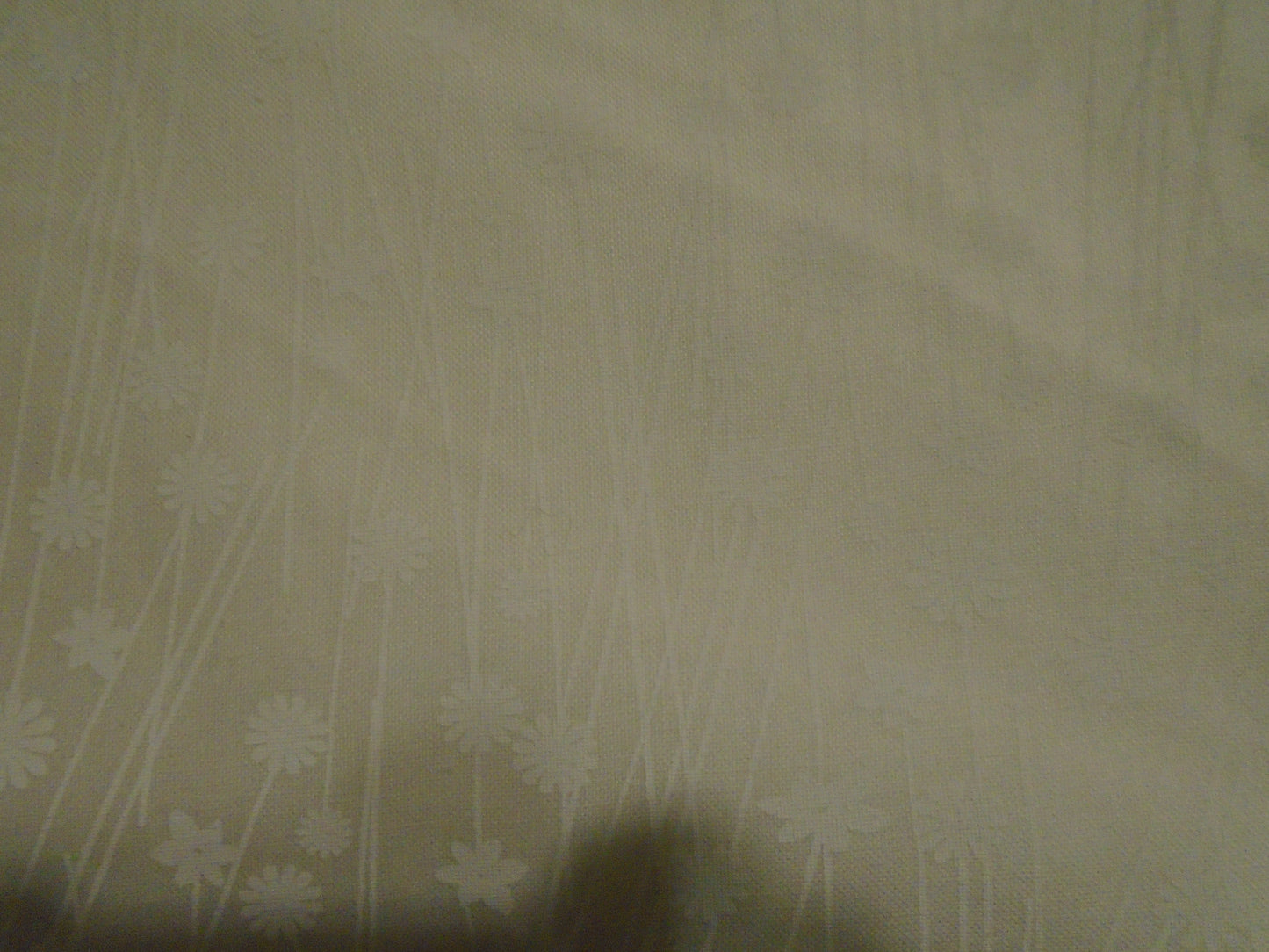 white on white flowers and stems