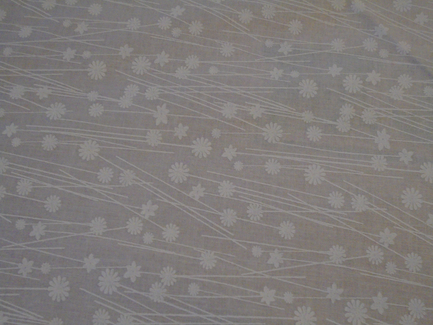 white on white flowers and stems