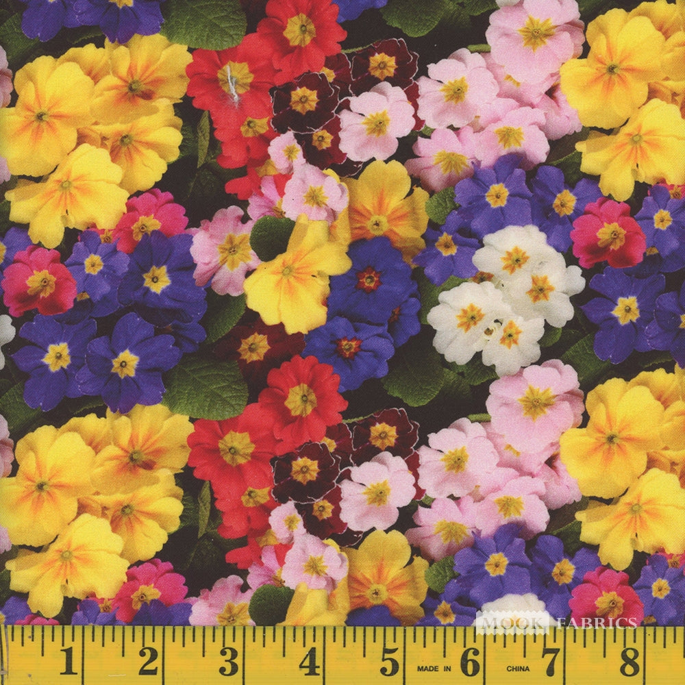 Multi Petunia floral