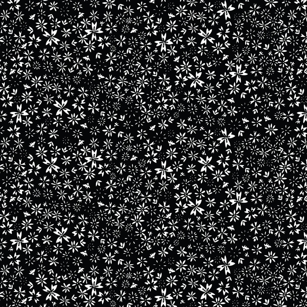 black-white  daisy