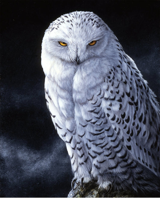 Snowy owl panel