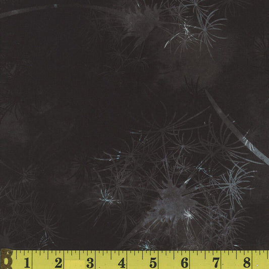 Dandelion Dreams Raven Black