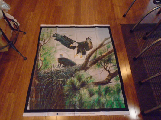 Eagle panel