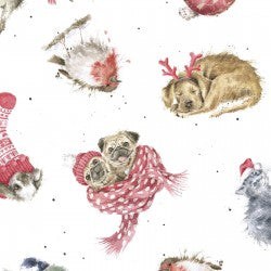 Warm wishes/ critters
