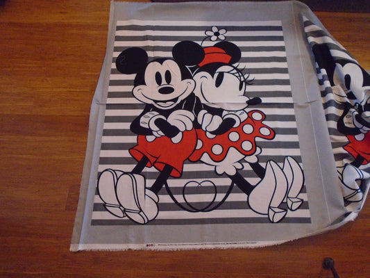Mickey & Minnie panel