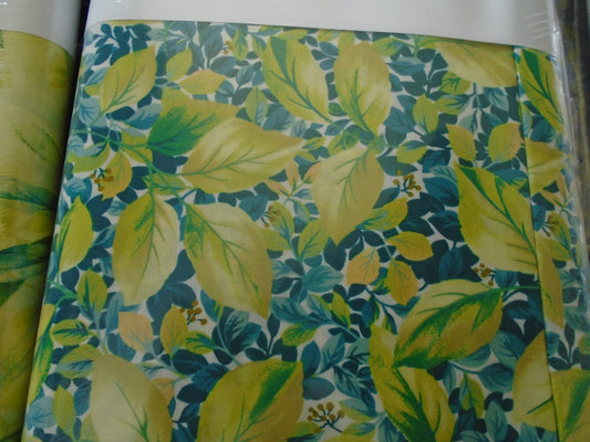 Rejuvenation  Blue/green