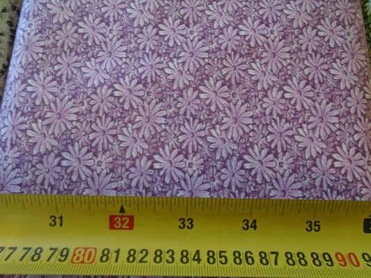 Daisy -Pink