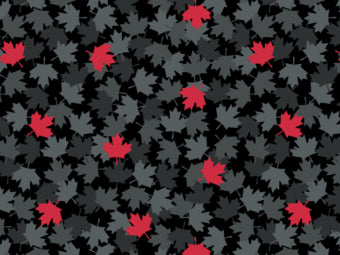 Black Maples Leaves