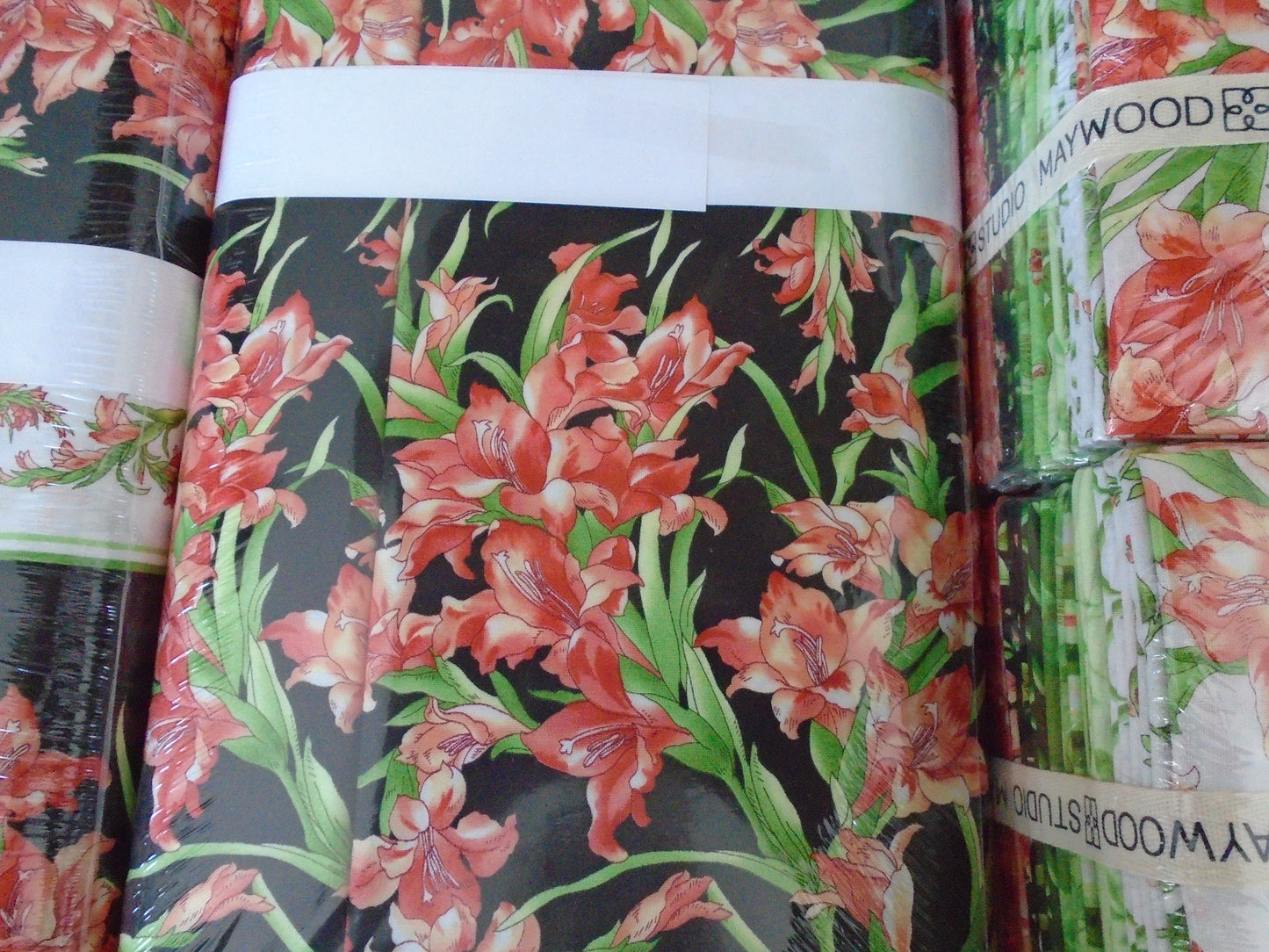 Sommerville gladioli  by Maywood studio