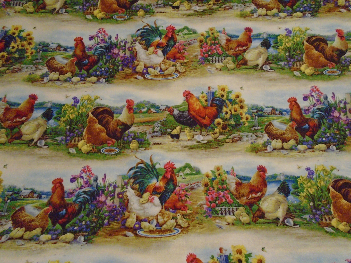 Chickens border stripe