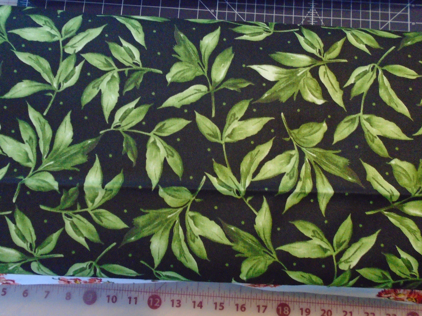 Prose black back ground /green leaves