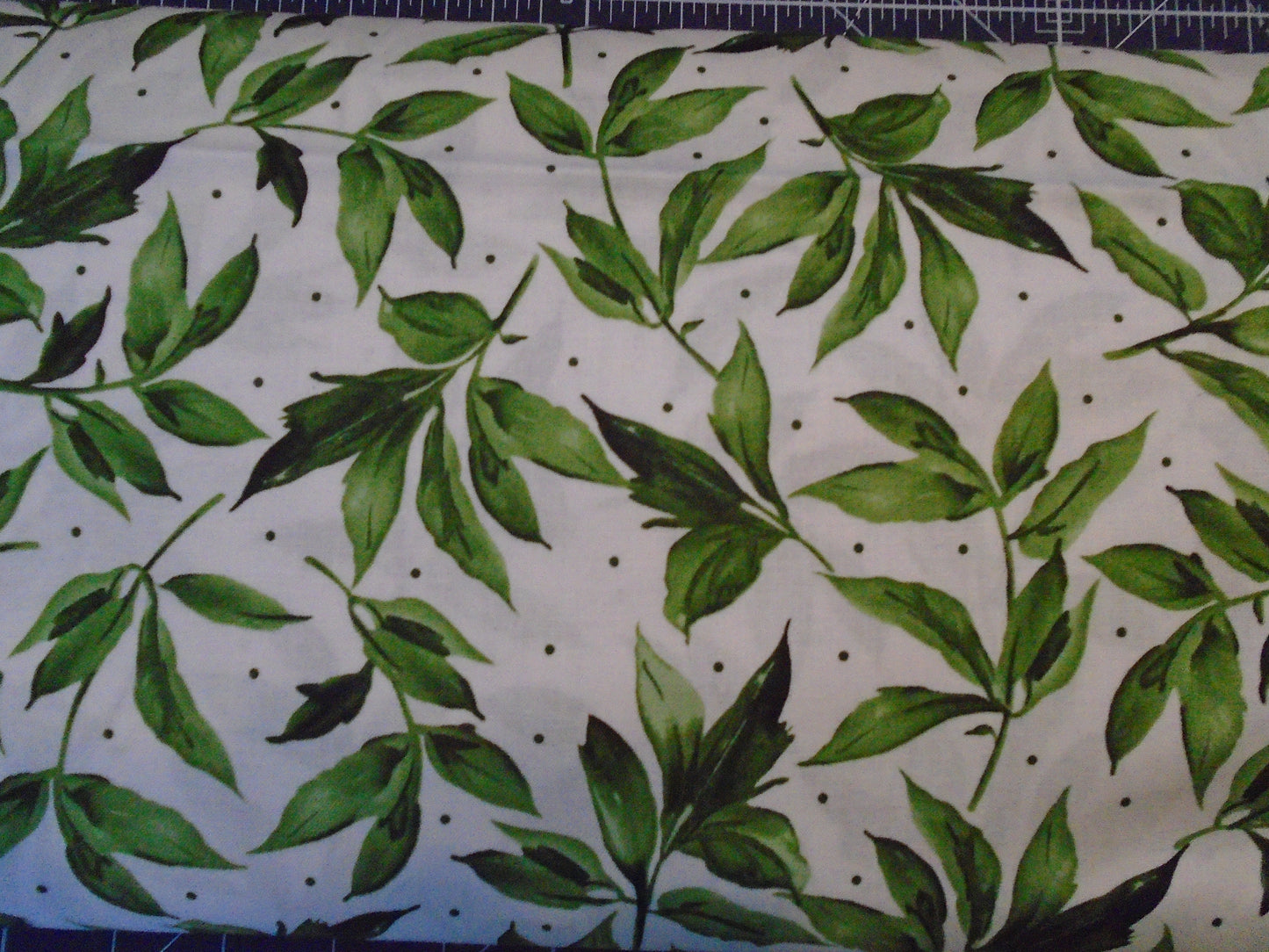 Prose white back ground /green leaves