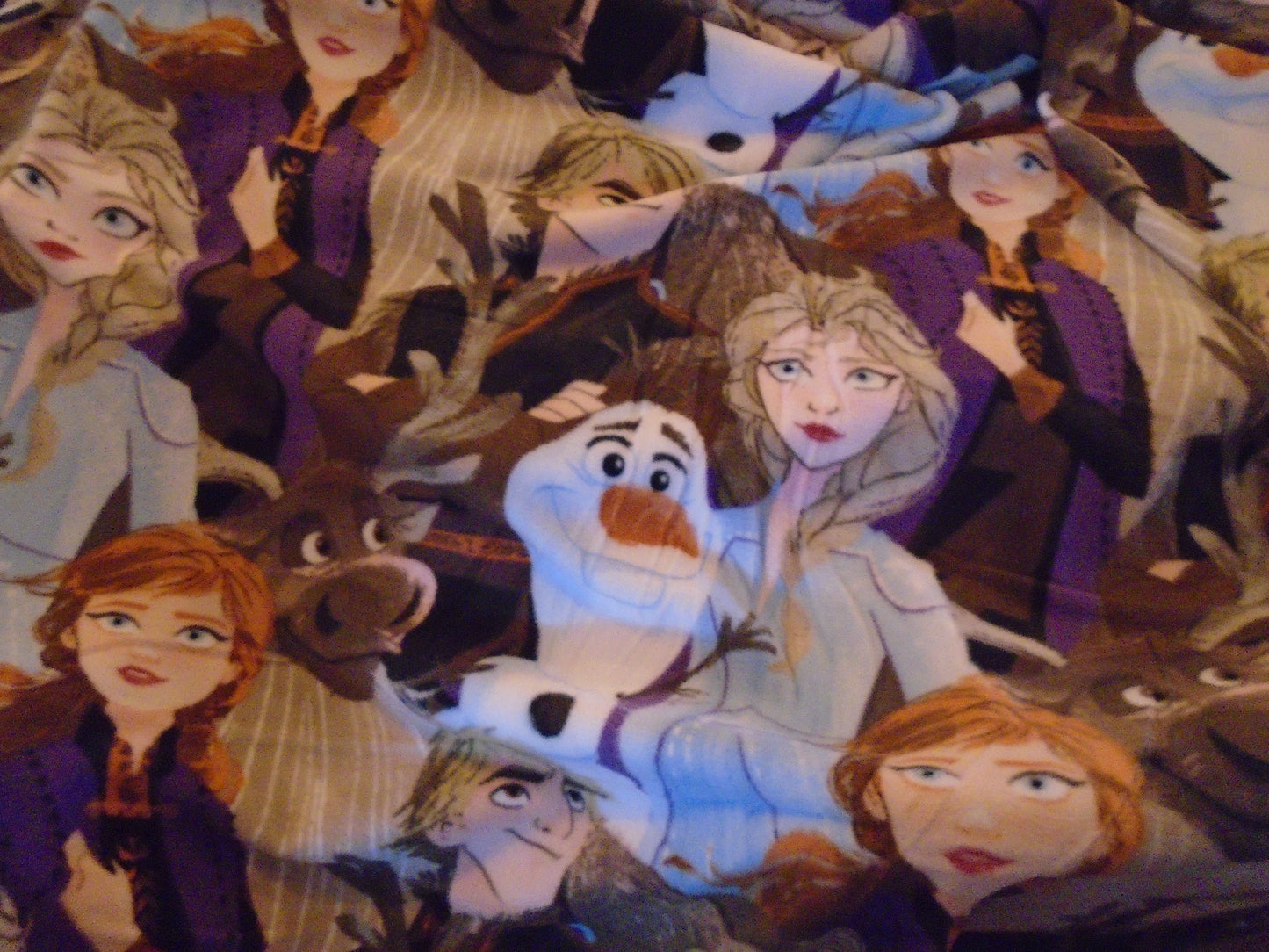 Frozen II Fleece