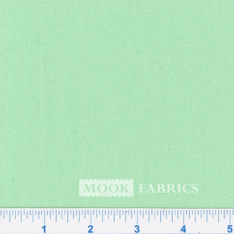 Flannel Snuggle Solid Mint green