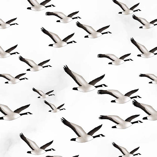 Flying geese /white/grey background