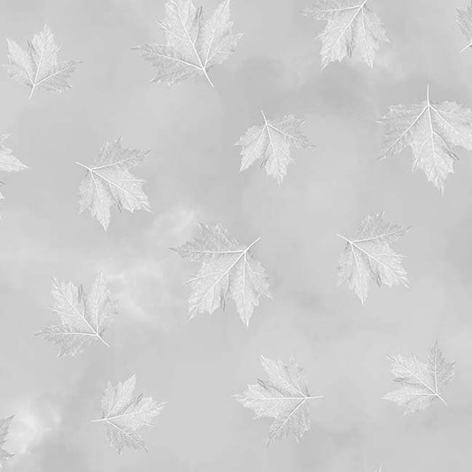 Grey maple leaves